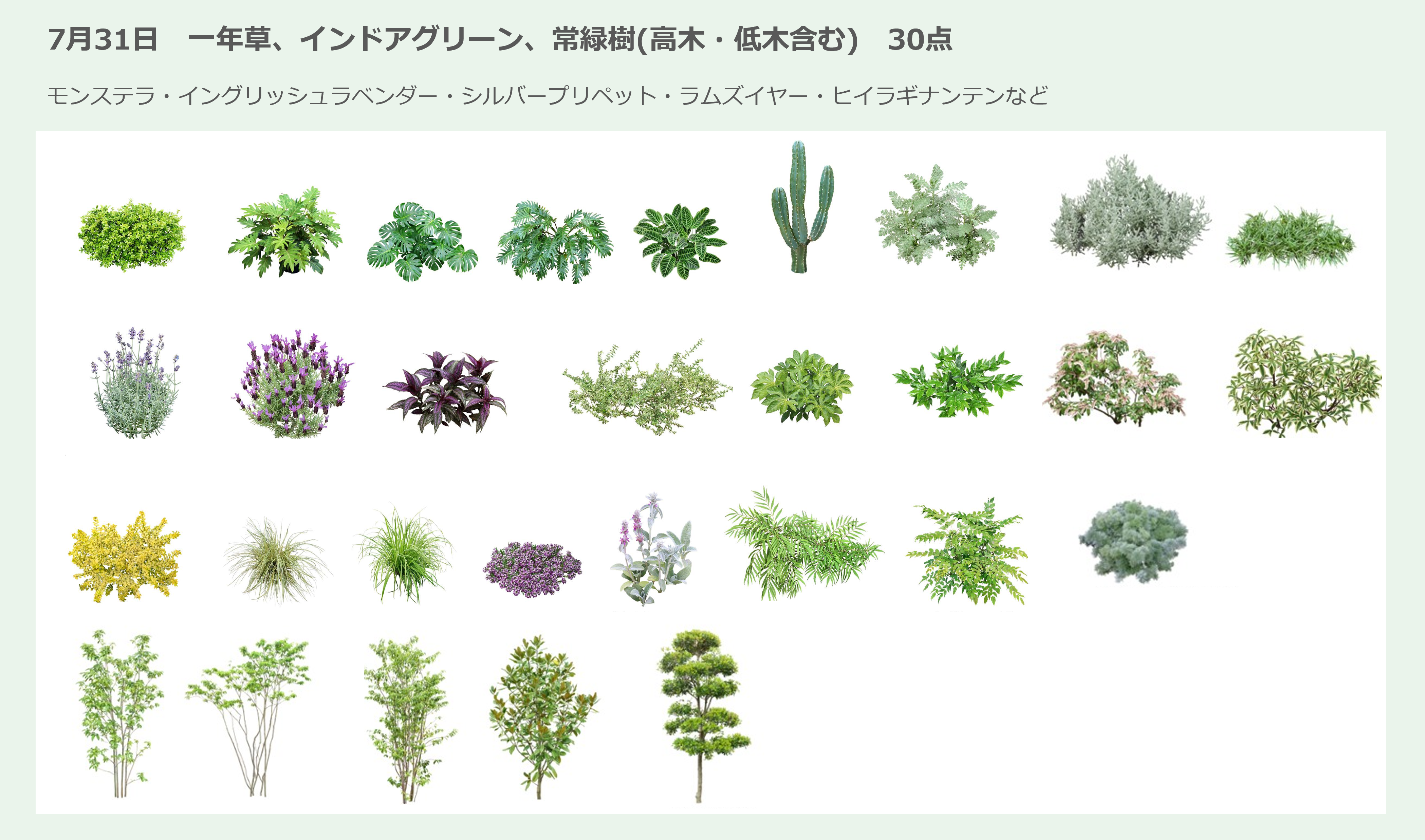 進化するRIKCAD】皆様の『欲しかった！』がカタチに！植栽データ、毎月 